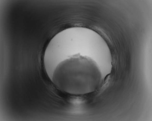 X0000087540167200705181055