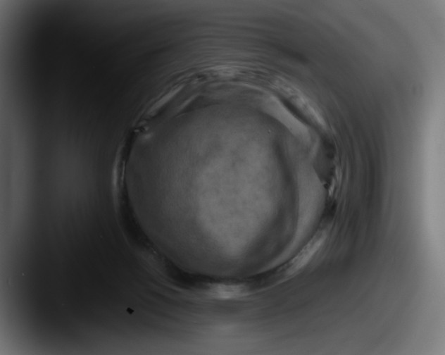 X0000087540168200705181055