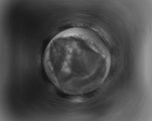 X0000087540169200705181055