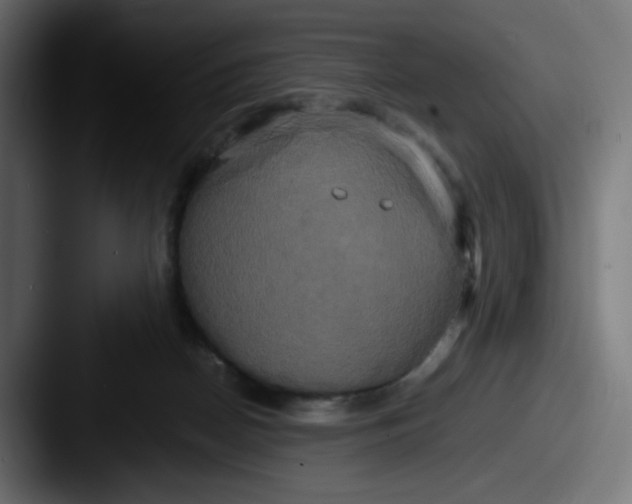 X0000087540170200705181055