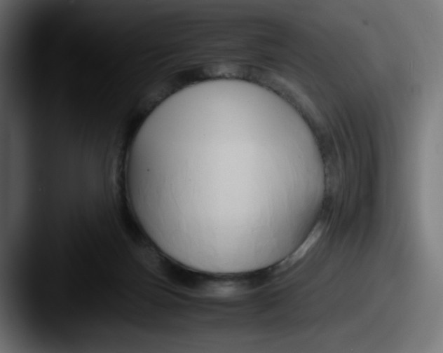 X0000087540171200705181055