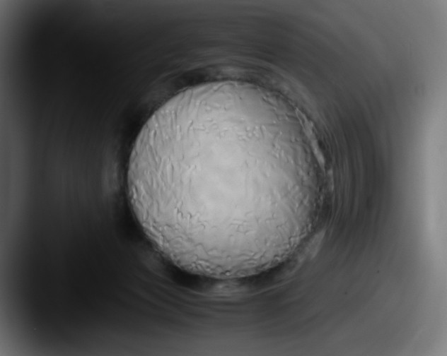 X0000087540173200705181055