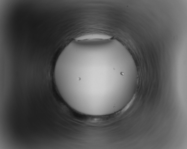 X0000087540174200705181055