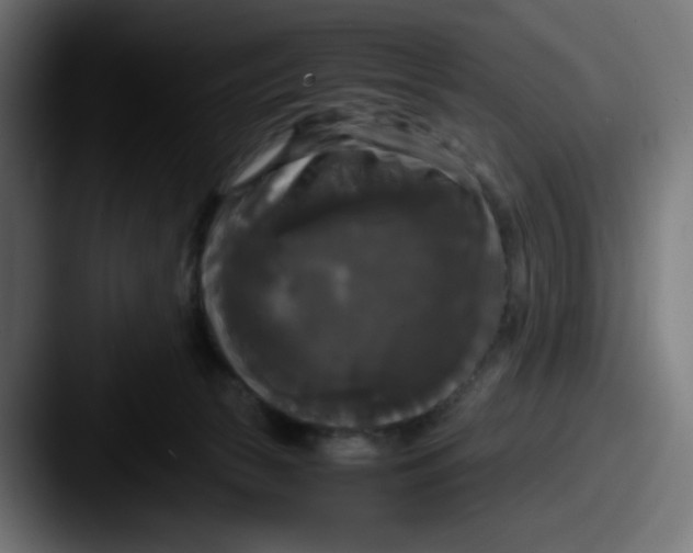 X0000087540177200705181055