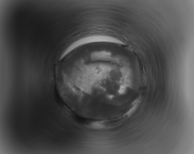 X0000087540178200705181055