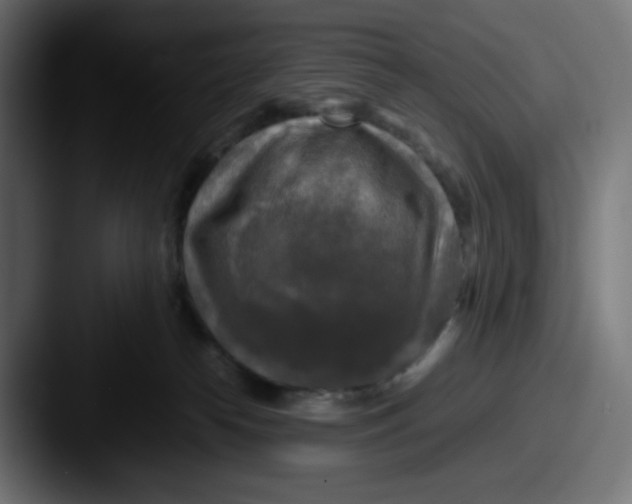 X0000087540182200705181055