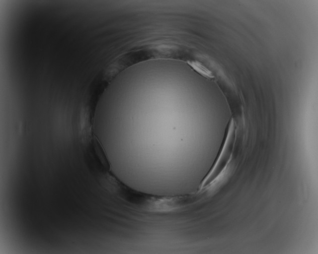 X0000087540186200705181055