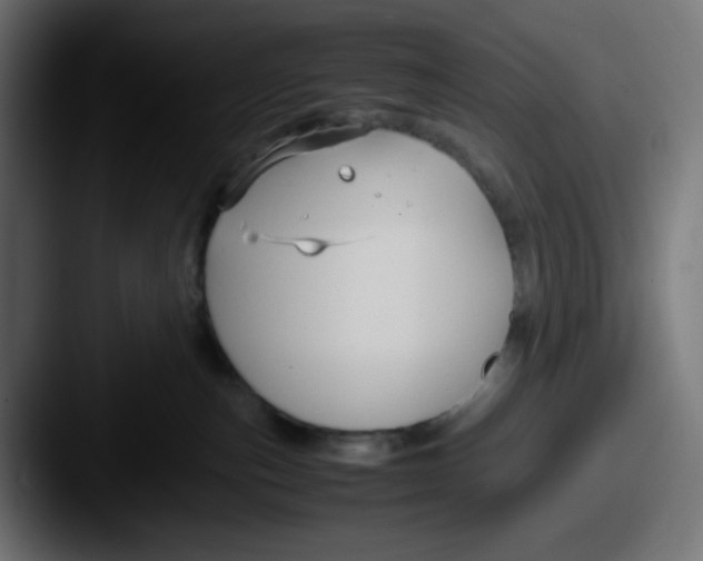 X0000087540187200705181055