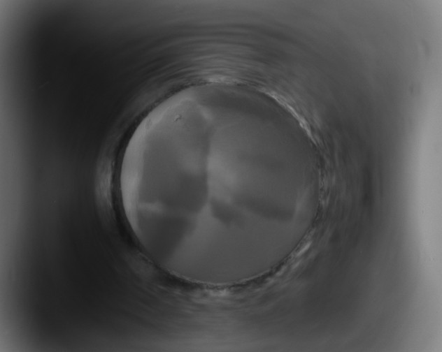 X0000087540194200705181054