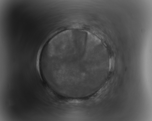 X0000087540195200705181054