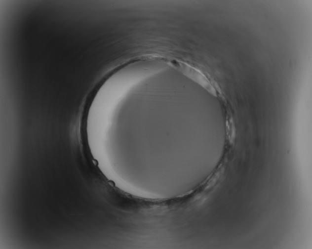 X0000087540196200705181054