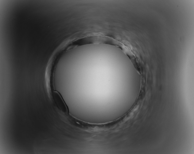 X0000087540197200705181054