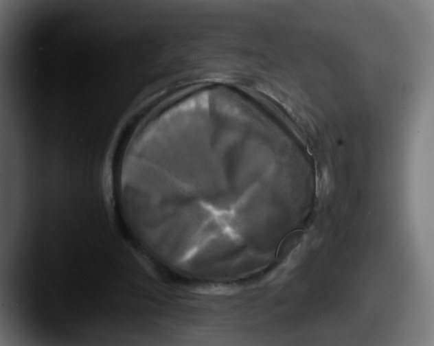 X0000087540198200705181054