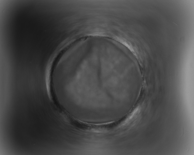 X0000087540199200705181054