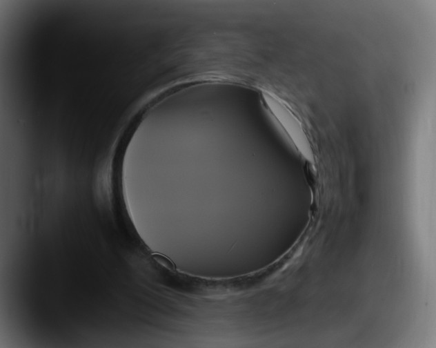 X0000087540200200705181054