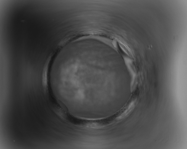 X0000087540203200705181054