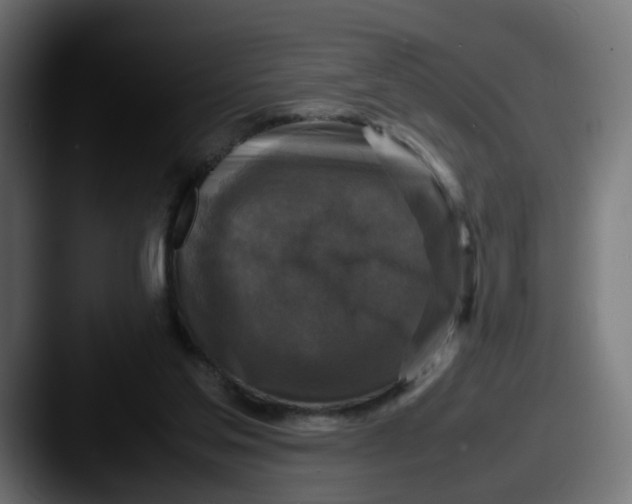 X0000087540205200705181054