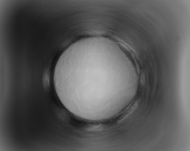 X0000087540206200705181054