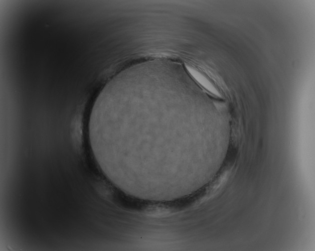 X0000087540207200705181054