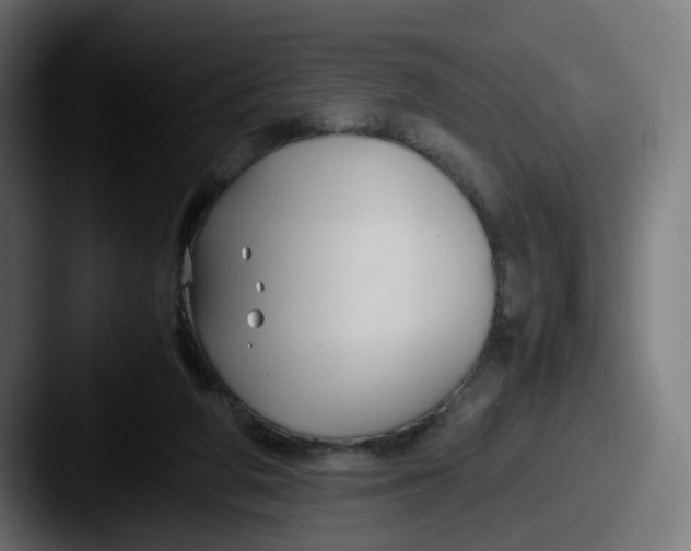 X0000087540210200705181054