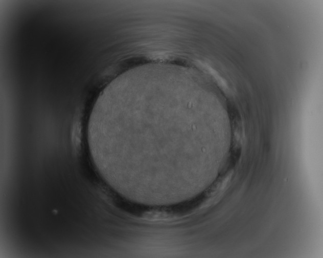 X0000087540211200705181054