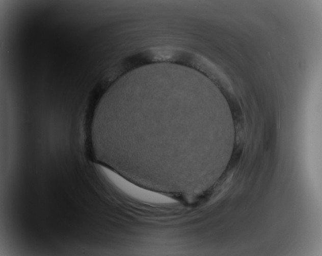 X0000087540215200705181054