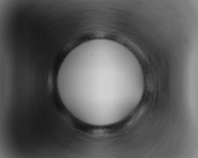 X0000087540216200705181054