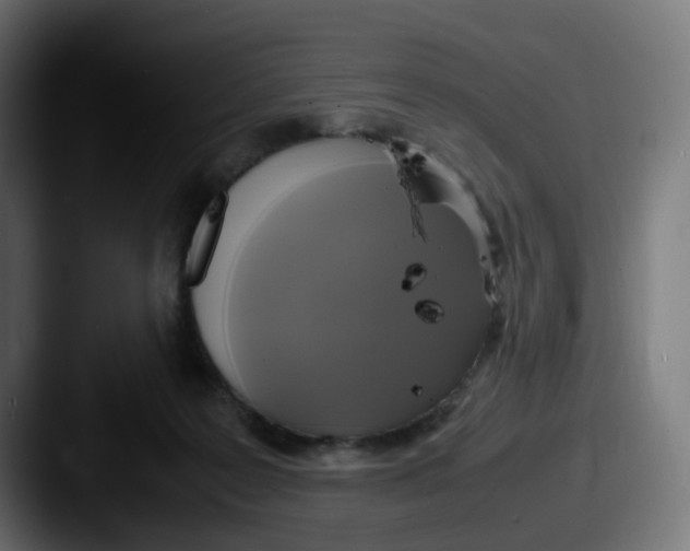 X0000087540219200705181054