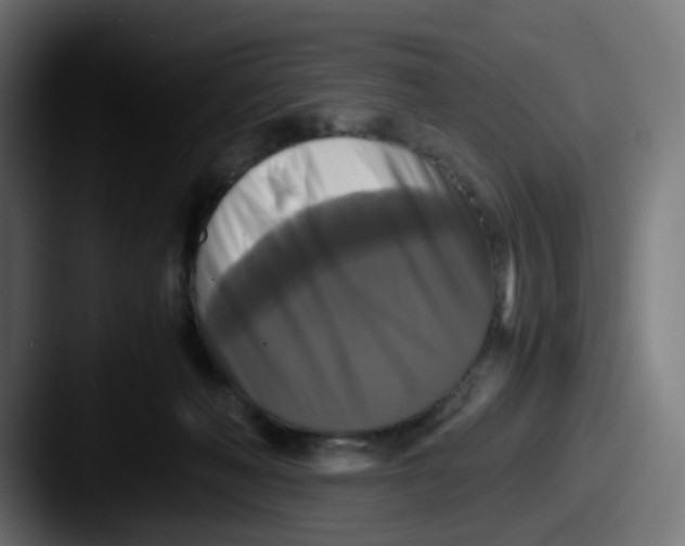 X0000087540222200705181054