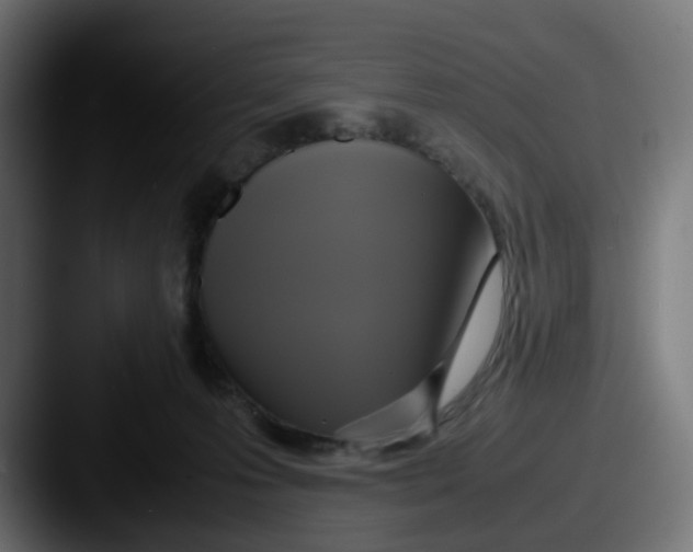 X0000087540223200705181054