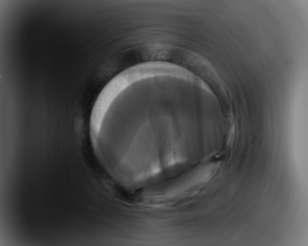 X0000087540224200705181054