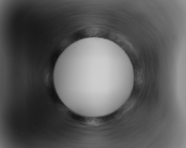 X0000087540226200705181054