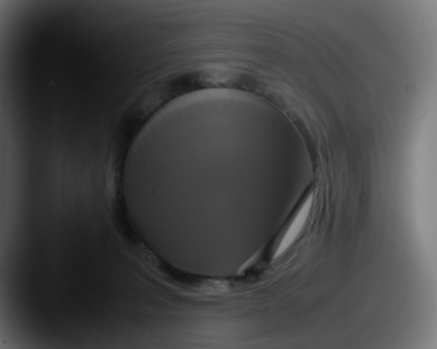 X0000087540227200705181054