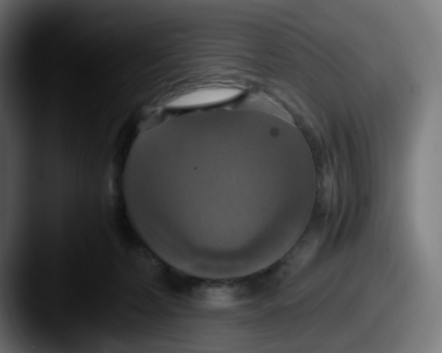 X0000087540228200705181054