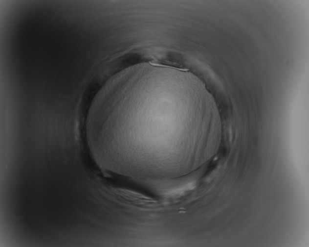 X0000087540229200705181054