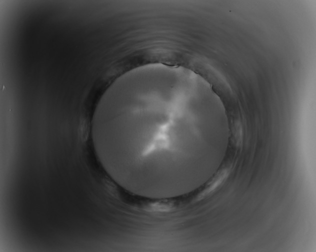 X0000087540232200705181054