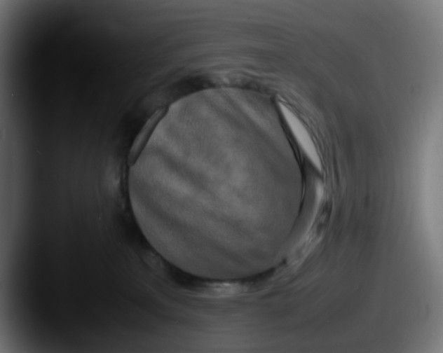 X0000087540233200705181054