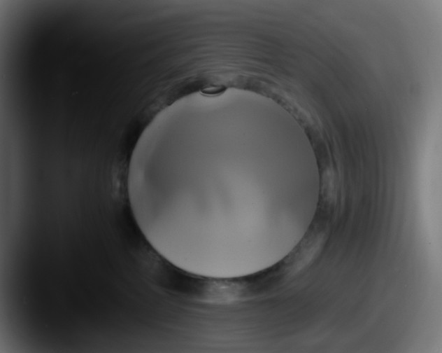 X0000087540234200705181054