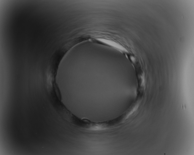 X0000087540235200705181054