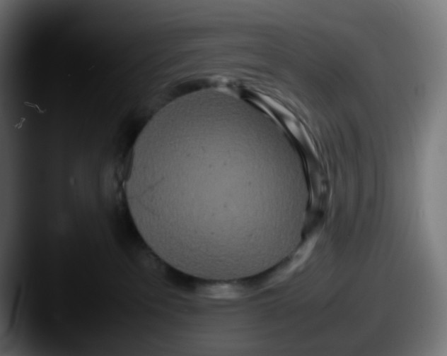 X0000087540237200705181054