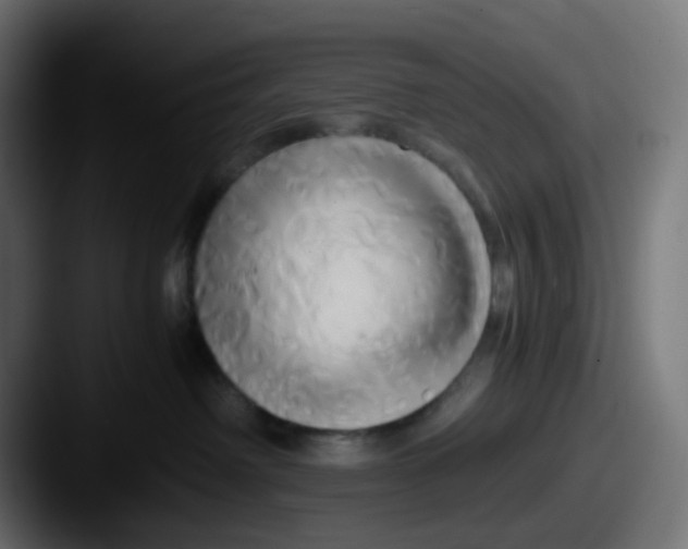 X0000087540238200705181054