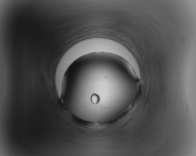 X0000087540239200705181054