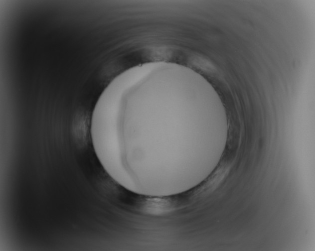 X0000087540240200705181054