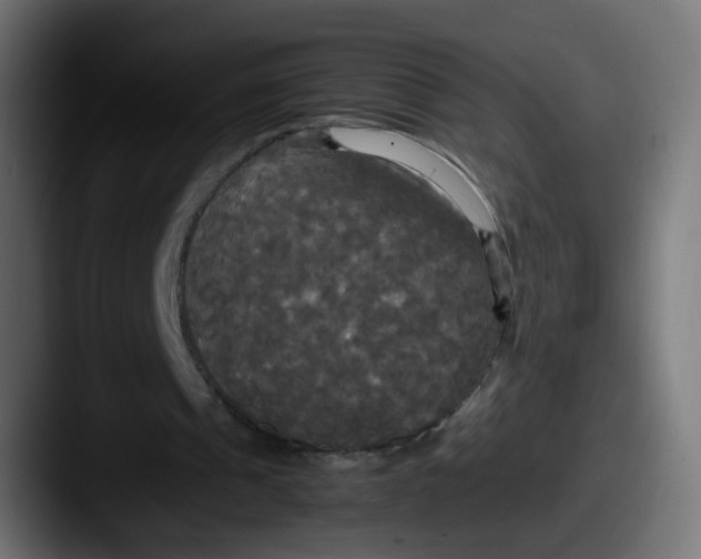 X0000087540241200705181053