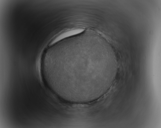 X0000087540242200705181053