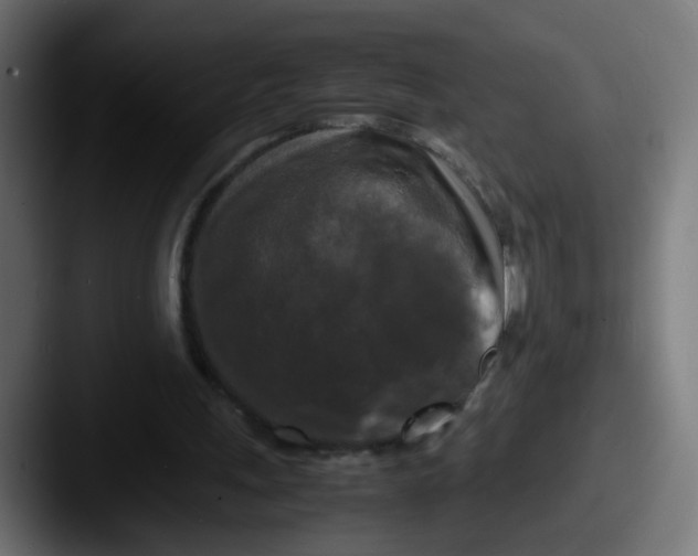 X0000087540243200705181053