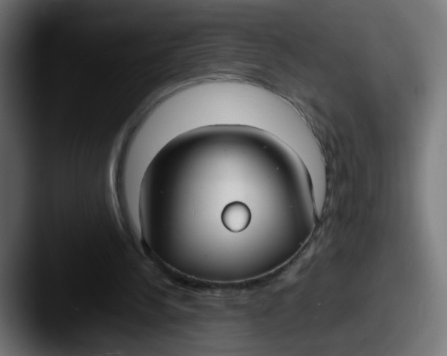 X0000087540244200705181053