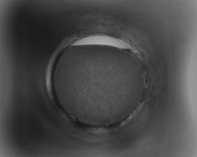 X0000087540245200705181053