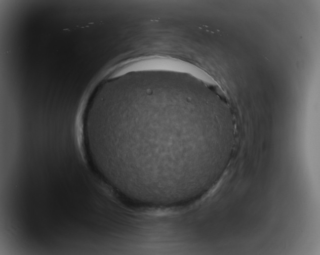 X0000087540246200705181053