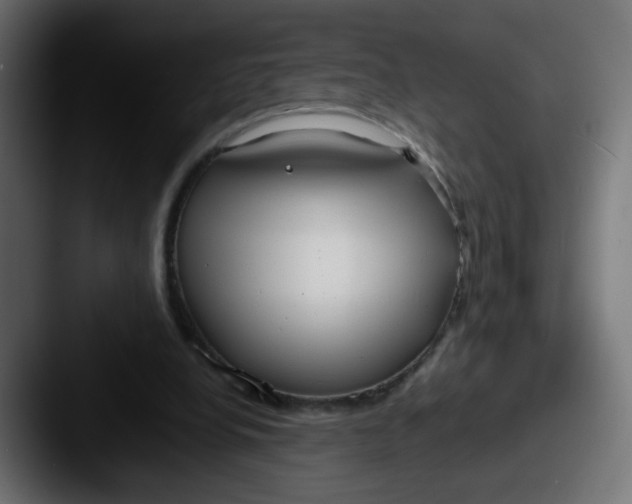 X0000087540248200705181053